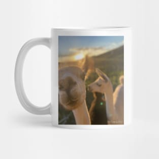 Llama Girl Sunset Mug